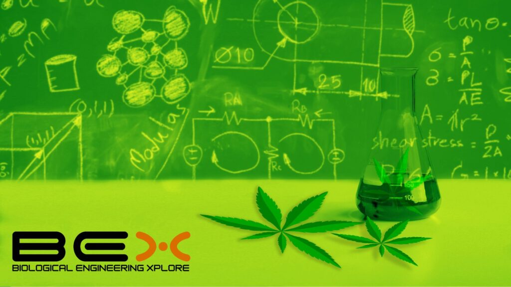 Chuya Soncco Presenta BEX: Biological Engineering Xplore