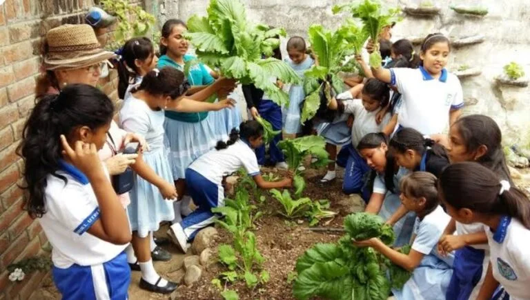 Educación ambiental: estrategias para sensibilizar desde la escuela y la comunidad