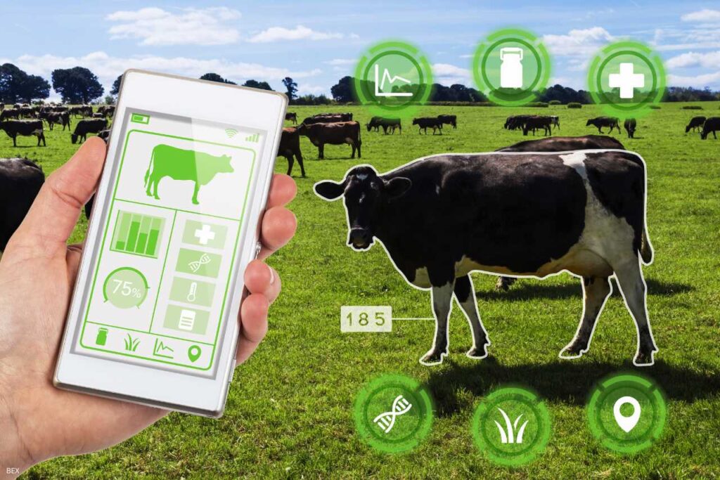 Harnessing the Power of AI to Cultivate Progress in Rural Latin America